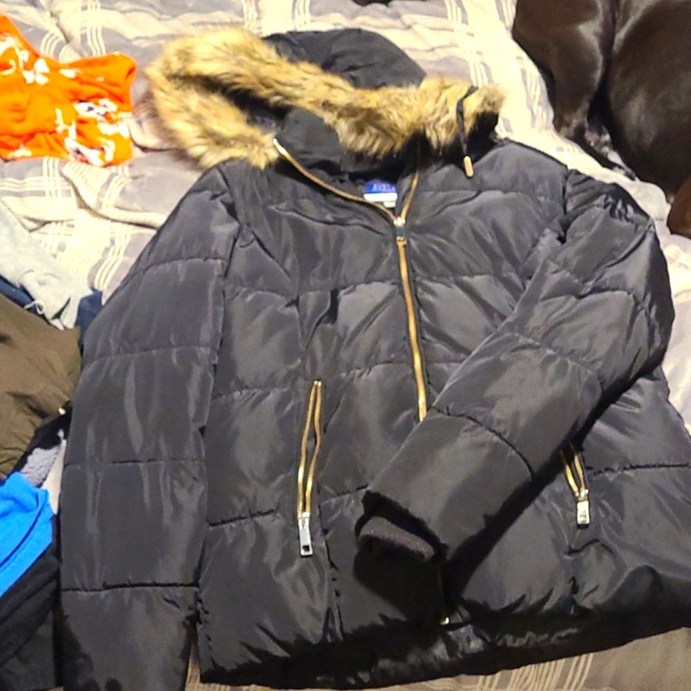 Winter Jacket